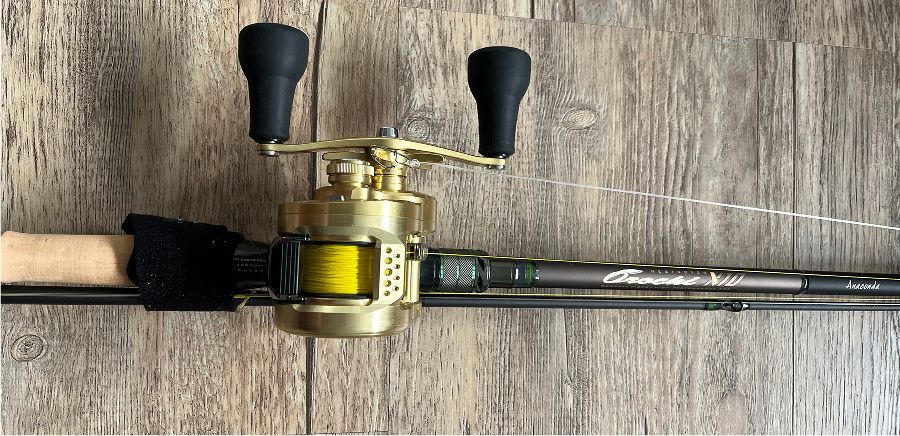 BC-Rolle zum Big Bait angeln