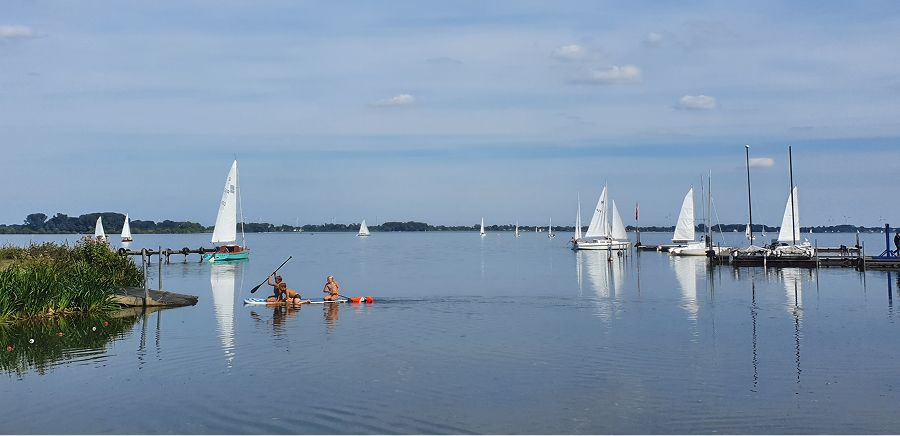 Dümmer See Wassersport: Kajak und Segelboote bei ruhigem Wetter, Naturschutzgebiet Niedersachsen