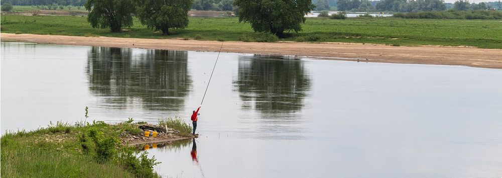 Dein Leitfaden für ein unvergessliches Abenteuer beim Angeln an der Elbe🎣