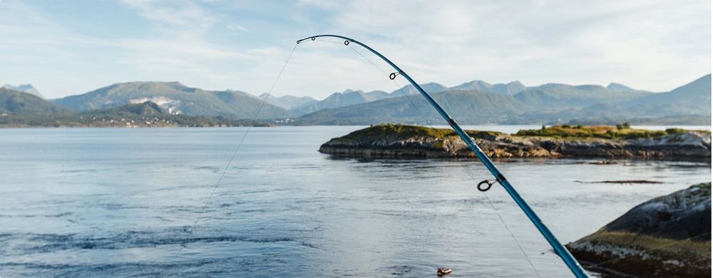 Anglerglück in Norwegen: Insider-Tipps für deinen Norwegen-Trip