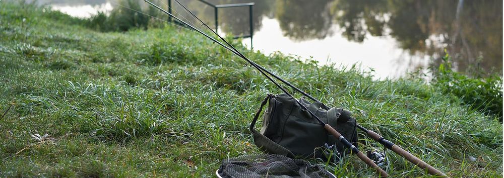 Profi-Tipps für deinen Fischereischein für Niedersachsen