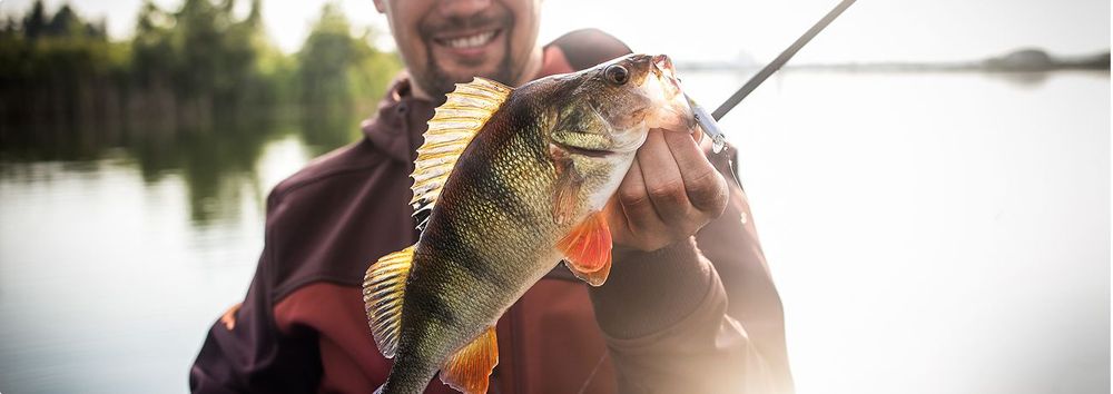 Geschenke für Angler: Die besten Ideen für passionierte Fischer