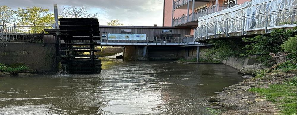 Streetfishing: Dein urbanes Angel-Abenteuer beginnt!